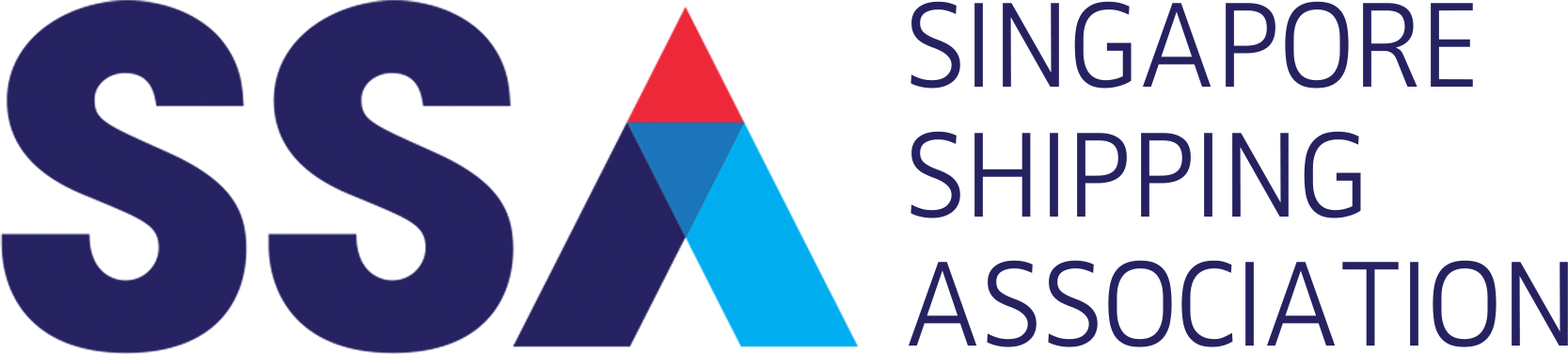 SSA Digital Vision & Sustainability Programme (DVSP)